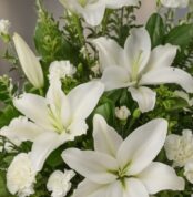 Fotografía macro premium del Arreglo Fúnebre Piedad, mostrando lirios blancos y claveles con rocío sutil, follaje verde y una