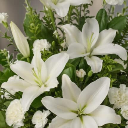 Fotografía macro premium del Arreglo Fúnebre Piedad, mostrando lirios blancos y claveles con rocío sutil, follaje verde y una