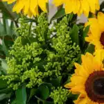 Primer plano extremo de un arreglo floral con girasoles vibrantes y follaje verde, mostrando gotas de rocío y textura hiperre