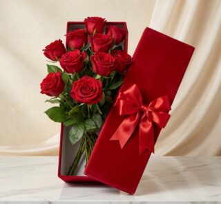 Caja premium de terciopelo rojo con 12 rosas rojas de exportación, frescas y con gotas de rocío, sobre una mesa de mármol bla