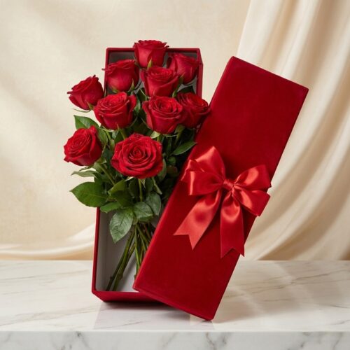 Caja premium de terciopelo rojo con 12 rosas rojas de exportación, frescas y con gotas de rocío, sobre una mesa de mármol bla
