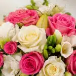 Primer plano extremo de un bouquet de rosas rosadas y blancas LARAINA con gotas de rocío, destacando texturas hiperrealistas