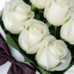 Primer plano extremo de una caja de 12 rosas blancas frescas con gotas de rocío, hojas verdes y un lazo morado, mostrando tex