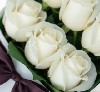 Primer plano extremo de una caja de 12 rosas blancas frescas con gotas de rocío, hojas verdes y un lazo morado, mostrando tex