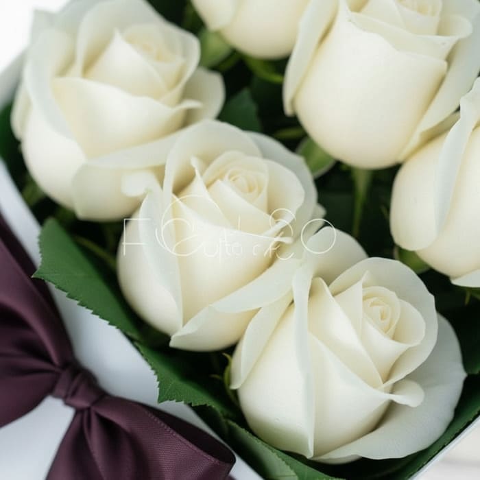 Primer plano extremo de una caja de 12 rosas blancas frescas con gotas de rocío, hojas verdes y un lazo morado, mostrando tex