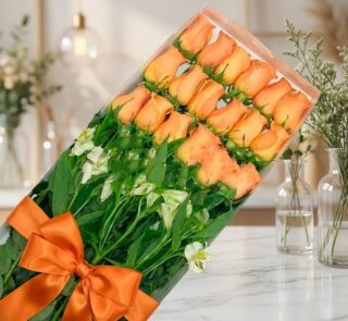 Caja transparente con 18 rosas salmón frescas y abiertas, acompañadas de follaje verde y flores blancas, atada con un moño na