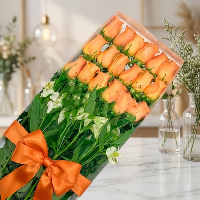 Caja transparente con 18 rosas salmón frescas y abiertas, acompañadas de follaje verde y flores blancas, atada con un moño na