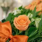 Primer plano extremo de una rosa salmón vibrante con sutiles gotas de rocío, rodeada de follaje verde y un lazo naranja, dest
