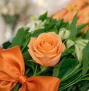 Primer plano extremo de una rosa salmón vibrante con sutiles gotas de rocío, rodeada de follaje verde y un lazo naranja, dest
