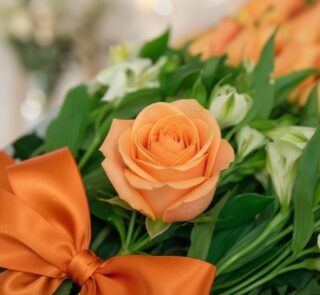 Primer plano extremo de una rosa salmón vibrante con sutiles gotas de rocío, rodeada de follaje verde y un lazo naranja, dest