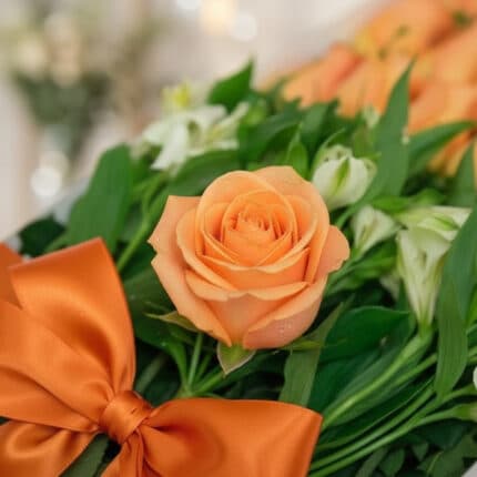Primer plano extremo de una rosa salmón vibrante con sutiles gotas de rocío, rodeada de follaje verde y un lazo naranja, dest
