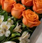 Primer plano extremo de rosas salmón frescas con gotas de rocío y alstroemerias blancas, destacando texturas y colores vibran