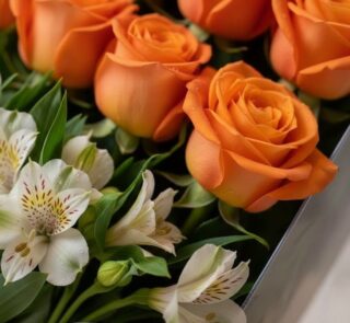 Primer plano extremo de rosas salmón frescas con gotas de rocío y alstroemerias blancas, destacando texturas y colores vibran