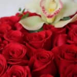 Primer plano extremo de una caja de rosas rojas vibrantes con una orquídea blanca, mostrando texturas hiperrealistas y sutile