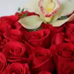 Primer plano extremo de una caja de rosas rojas vibrantes con una orquídea blanca, mostrando texturas hiperrealistas y sutile