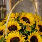 Primer plano extremo de una canasta floral con doce girasoles vibrantes, mostrando texturas hiperrealistas y sutiles gotas de