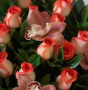 Primer plano extremo de una canasta de rosas y orquídeas con textura hiperrealista, gotas de rocío y colores vibrantes bajo l