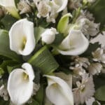 Fotografía macro premium de la Corona Fúnebre 'Homenaje Guadalupe', mostrando calas blancas, rosas y crisantemos con rocío, c