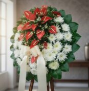 Corona fúnebre Trinidad con anthuriums rojos vibrantes y crisantemos blancos puros, follaje verde oscuro y cinta satinada col