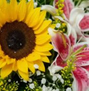 Primer plano extremo de un girasol amarillo con gotas de rocío y un lirio rosa y blanco, mostrando texturas hiperrealistas y