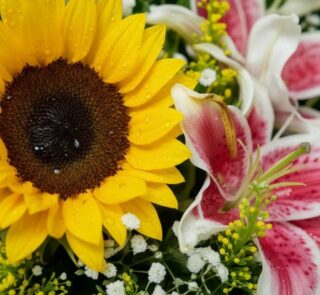 Primer plano extremo de un girasol amarillo con gotas de rocío y un lirio rosa y blanco, mostrando texturas hiperrealistas y