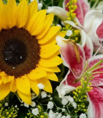 Primer plano extremo de un girasol amarillo con gotas de rocío y un lirio rosa y blanco, mostrando texturas hiperrealistas y