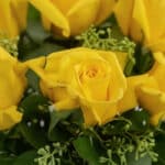 Primer plano extremo de una rosa amarilla con gotas de rocío, mostrando textura hiperrealista y colores vibrantes. Parte del