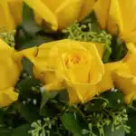 Primer plano extremo de una rosa amarilla con gotas de rocío, mostrando textura hiperrealista y colores vibrantes. Parte del