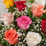 Primer plano extremo de un jarrón con 18 rosas multicolor, mostrando texturas hiperrealistas, gotas de rocío y colores vibran