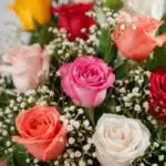 Primer plano extremo de un jarrón con 18 rosas multicolor, mostrando texturas hiperrealistas, gotas de rocío y colores vibran