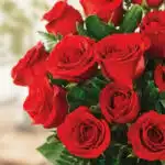 Primer plano extremo de un jarrón con 18 rosas rojas, mostrando texturas hiperrealistas, sutiles gotas de rocío y colores vib