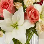 Primer plano extremo de un arreglo floral Fabrizia con rosas rosadas, lirios blancos y claveles crema, mostrando texturas y g