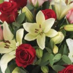 Primer plano extremo de Jarron Floral GIORGIA con rosas rojas, rosadas y lirios blancos, gotas de rocío, textura hiperrealist