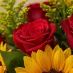 Primer plano extremo de un bouquet de rosas rojas y girasoles, con gotas de rocío sutiles y texturas hiperrealistas, bajo luz