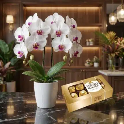 Arreglo floral exótico de orquídea blanca doble vara con centro morado y chocolates Ferrero Rocher en una superficie de mármo