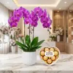 Arreglo premium de orquídeas GALA moradas vibrantes en maceta blanca, junto a chocolates Ferrero Rocher en caja de corazón, s