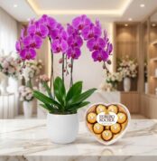 Arreglo premium de orquídeas GALA moradas vibrantes en maceta blanca, junto a chocolates Ferrero Rocher en caja de corazón, s