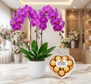 Arreglo premium de orquídeas GALA moradas vibrantes en maceta blanca, junto a chocolates Ferrero Rocher en caja de corazón, s