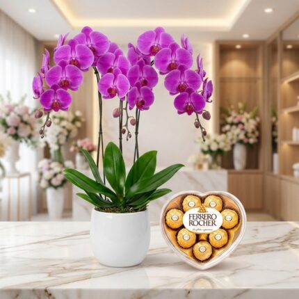 Arreglo premium de orquídeas GALA moradas vibrantes en maceta blanca, junto a chocolates Ferrero Rocher en caja de corazón, s