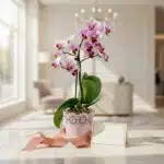 Orquídea Phalaenopsis Antonella en maceta rosa, con tarjeta de regalo y cinta de satén, sobre mármol en un lobby elegante.