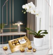 Arreglo MARELY con orquídea Phalaenopsis blanca en maceta texturizada y caja de chocolates Ferrero Rocher, ideal para regalar