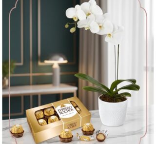 Arreglo MARELY con orquídea Phalaenopsis blanca en maceta texturizada y caja de chocolates Ferrero Rocher, ideal para regalar