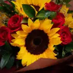 Primer plano extremo de un ramo Aurora con rosas rojas vibrantes y girasoles amarillos, mostrando gotas de rocío y texturas h