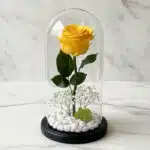 Rosa eterna amarilla vibrante dentro de un domo de cristal, con base negra, rodeada de pequeñas piedras blancas y follaje ver