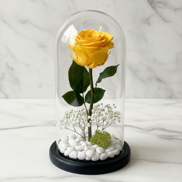Rosa eterna amarilla vibrante dentro de un domo de cristal, con base negra, rodeada de pequeñas piedras blancas y follaje ver
