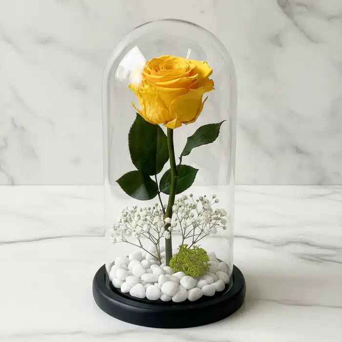 Rosa Eterna Amarilla Donatella: Elegancia Inmortal en Domo de Cristal Rosa eterna amarilla vibrante dentro de un domo de cristal, con base negra, rodeada de pequeñas piedras blancas y follaje ver