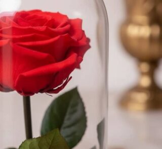 Primer plano de una rosa roja preservada dentro de una cúpula de cristal, con detalles de rocío y textura hiperrealista.