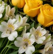 Primer plano extremo de rosas amarillas y alstroemerias blancas con gotas de rocío, mostrando texturas hiperrealistas y color