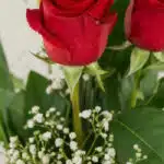 Primer plano extremo de un Solitario con Rosas Marilyn, mostrando pétalos rojos con gotas de rocío, hojas verdes y pequeñas f