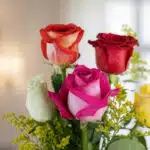 Primer plano extremo de un solitario de rosas multicolor con gotas de rocío, destacando texturas hiperrealistas y colores vib